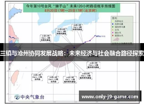 三镇与沧州协同发展战略：未来经济与社会融合路径探索
