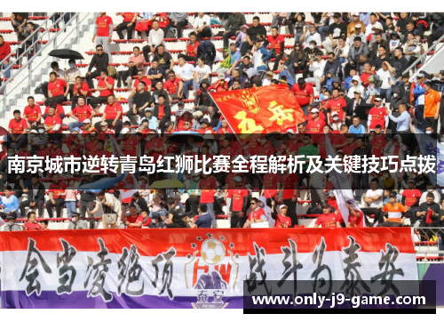 南京城市逆转青岛红狮比赛全程解析及关键技巧点拨