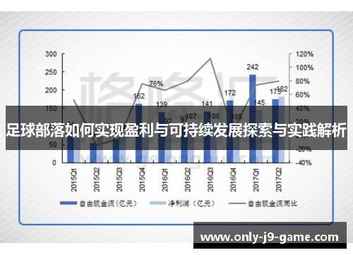 足球部落如何实现盈利与可持续发展探索与实践解析