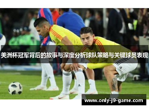 美洲杯冠军背后的故事与深度分析球队策略与关键球员表现 美洲杯冠军背后的故事与深度分析球队策略与关键球员表现